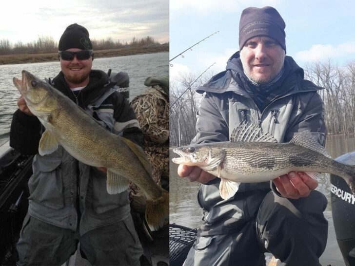 Walleye vs. Sauger (How Are They Different?)