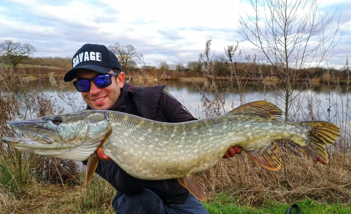 a predator angler with a long pike caught on a cloudy day