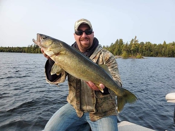 a fisherman on a boat with a nice walleye that he has caught trolling