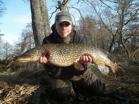 a fisherman holding a big pike that he has caught on braided line and a crankbait 