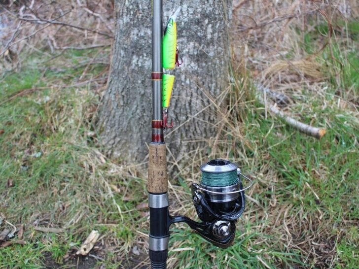 What Is the Best Pike Fishing Line? (Mono and Braid)