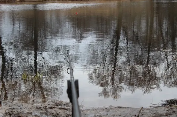 a pike rod on a bank stick with a float dead bait rig in a river