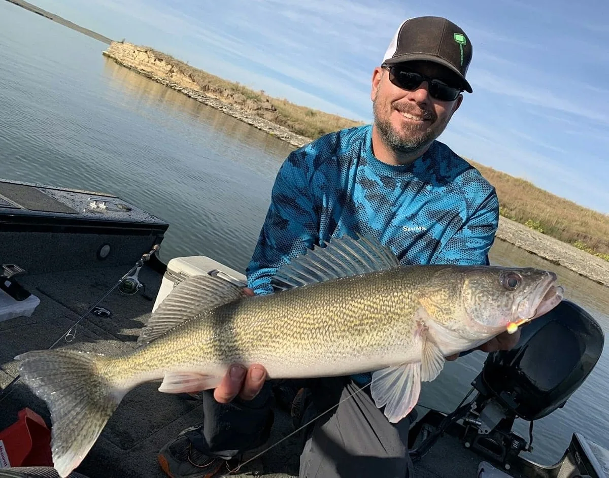 a fisherman on a boat holding a long walleye that he has caught on a fluorocarbon leader and a crankbait