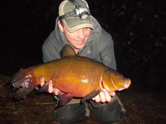 a coarse angler holding a giant tench that he has caught at night