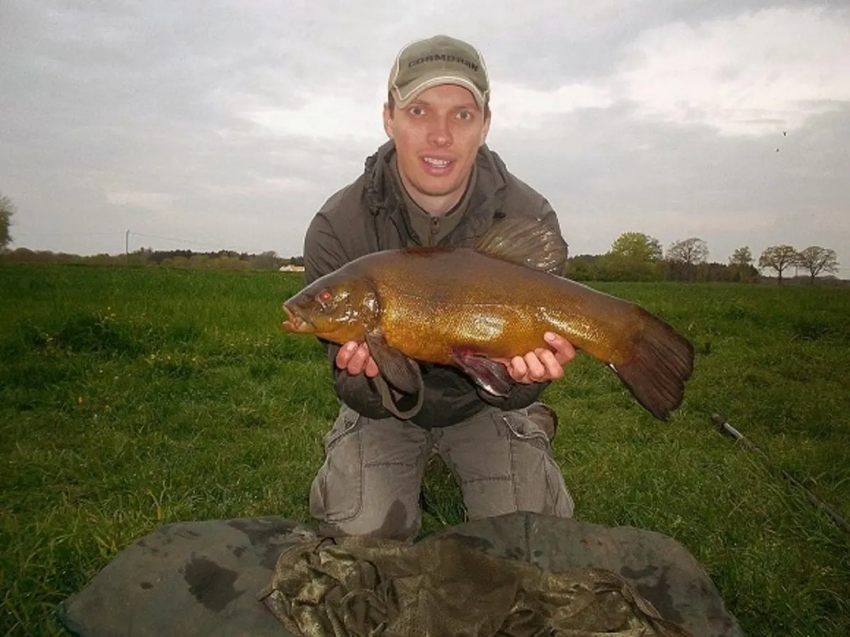 a coarse angler holding a giant tench that he has caught on an overcast day in spring