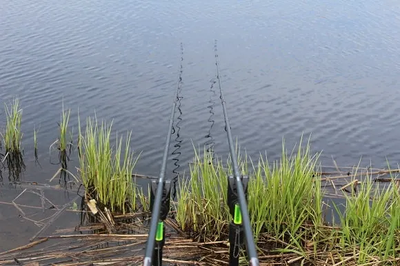 two specialist rods on banksticks and bite alarms with hangers for tench fishing