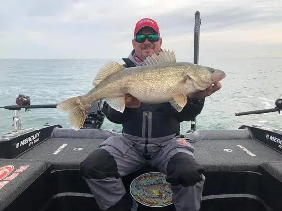 an angler on his boat holding a large walleye that he has caught trolling