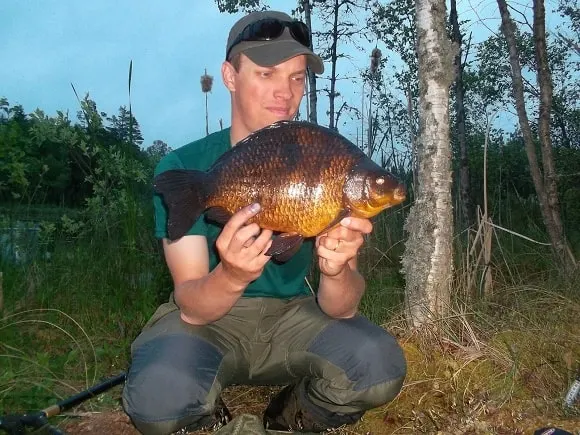 a happy specimen angler with a huge crucian that he has caught on a single sweetcorn ealry in the morning