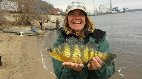 a happy female angler with nice yellow perch that she has caught on a slip bobber rig