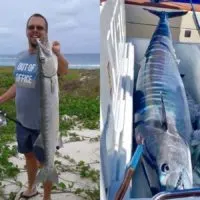 a fisherman with a barracuda and a wahoo displayed on a fishing boat