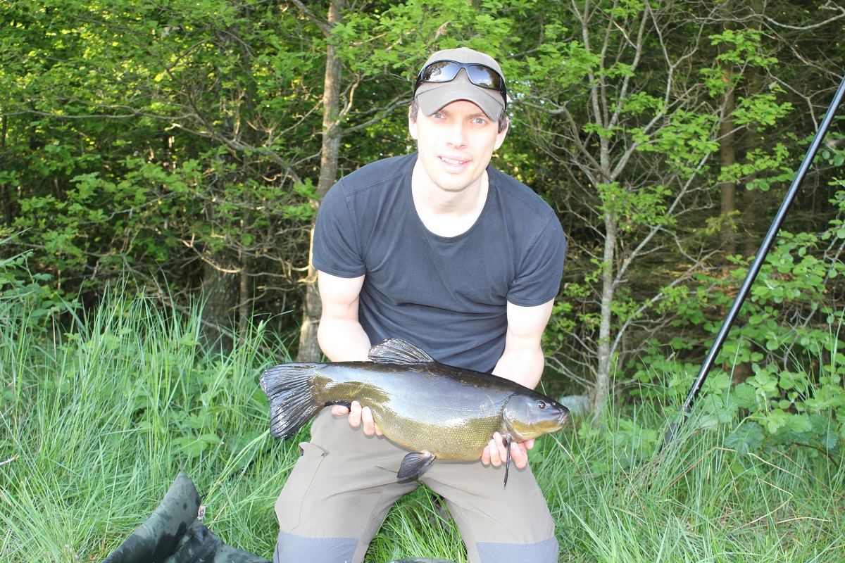 a coarse angler with a beautiful tench caught on a method feeder rig