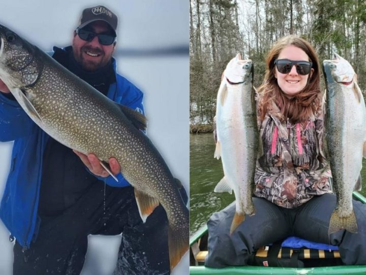 Lake Trout vs. Rainbow Trout (How Are They Different?)