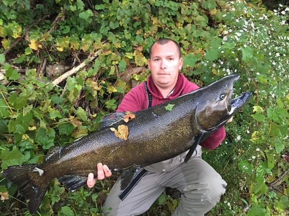 an angler with a really dark chinook salmon caught on a river