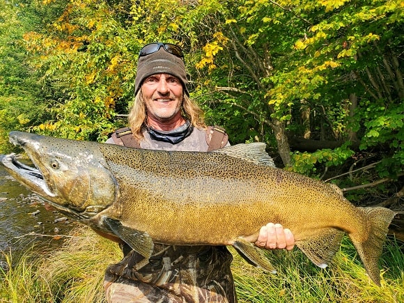 a fisherman on a river bank holding a huge king salmon