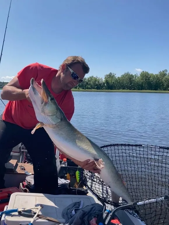 a predator angler on his boat holding a really huge musky that he has lifte out of his Drifter Marine Predator fishing net