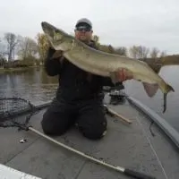 a predator angler on his boat holding a giant musky that he has landed with the Big Kahuna musky net