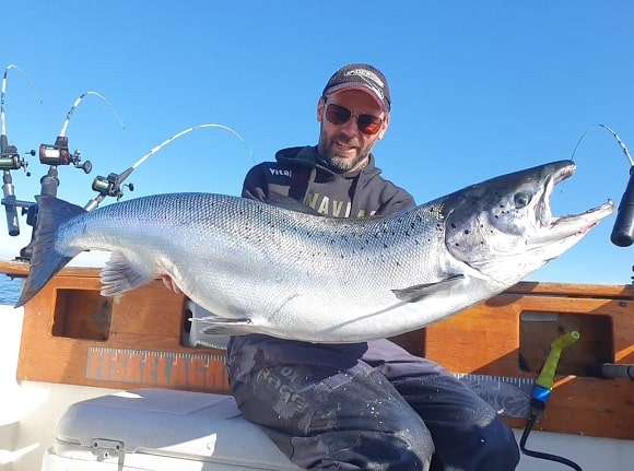 a fisherman on his boat holding a huge atlantic salmon that he has caught trolling in the sea
