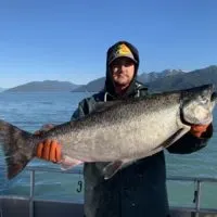 a commercial salmon fisherman in Alaska on a boat holding a giant king salmon