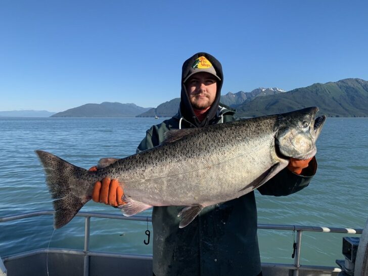Commercial Salmon Fishing in Alaska (A Complete Guide)