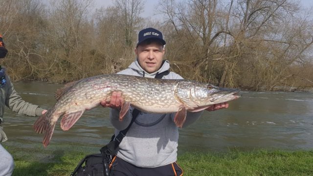 a predator angler holding a big pike that he has caught on a murky river