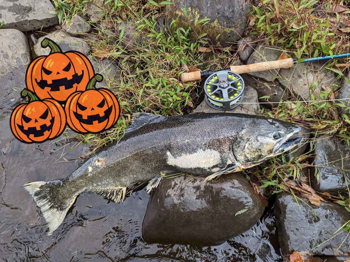 a zombified salmon on a river bank next to a fly rod