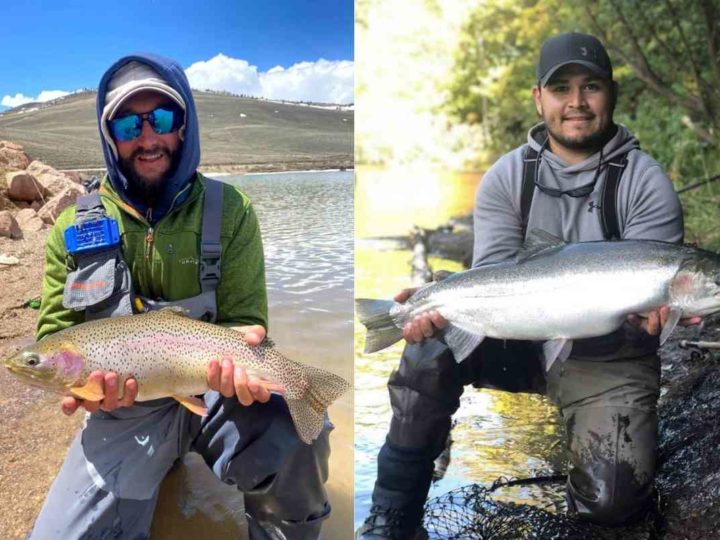 Rainbow Trout vs. Steelhead (What Is the Difference?)