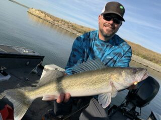 an angler on his boat holding a big and long walleye that he has caught on a fireball jig