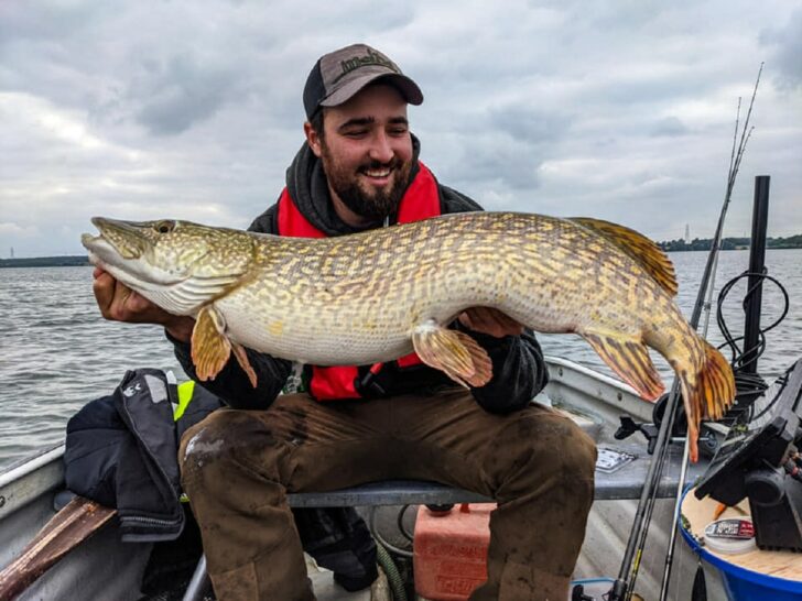 3 Best Nets for Pike Fishing (All Budgets)