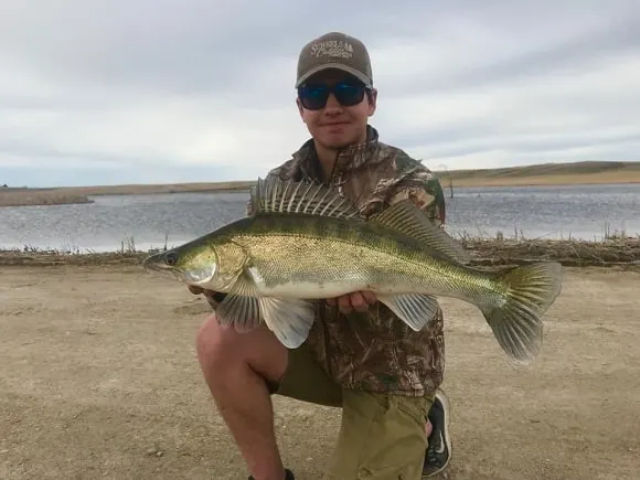 a fisher with a North Dakota caught zander on Alkali Lake