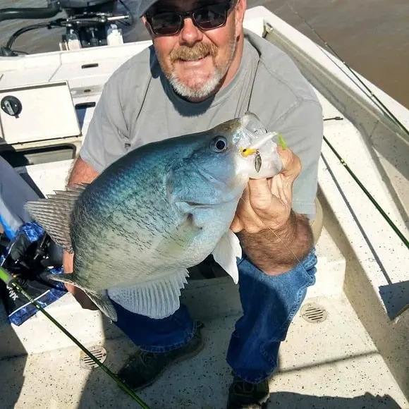 a crappie angler on his boat holding a slab that he caught on a bladed jighead