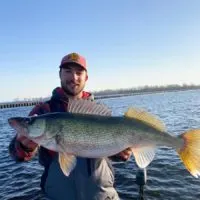 a US angler on a boat holding a giant clear water walleye