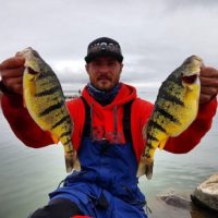 a fisherman on a lake holding two fat yellow perch