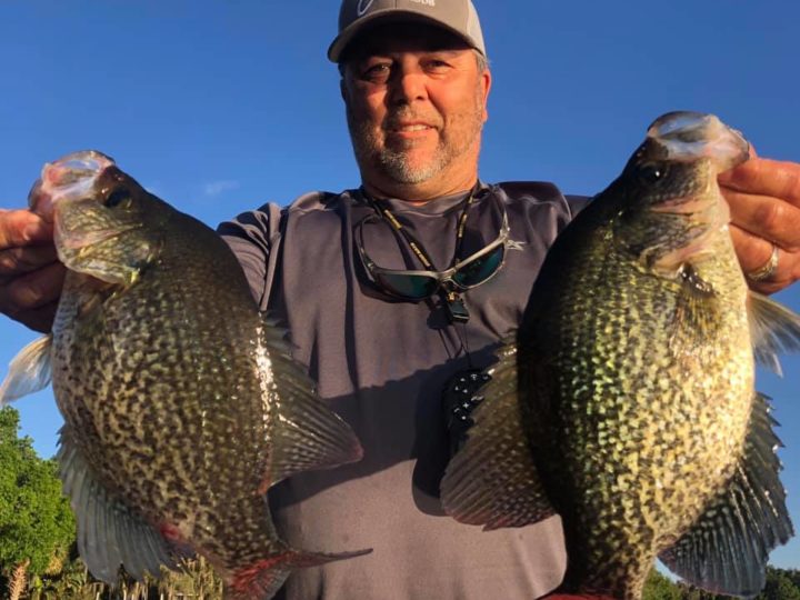 Crappie Fishing in Clear Water (Best Lures and Colors)