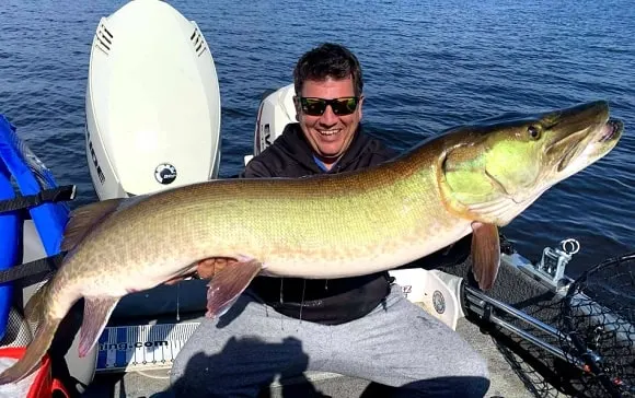 a happy angler on a boat holding a really big musky