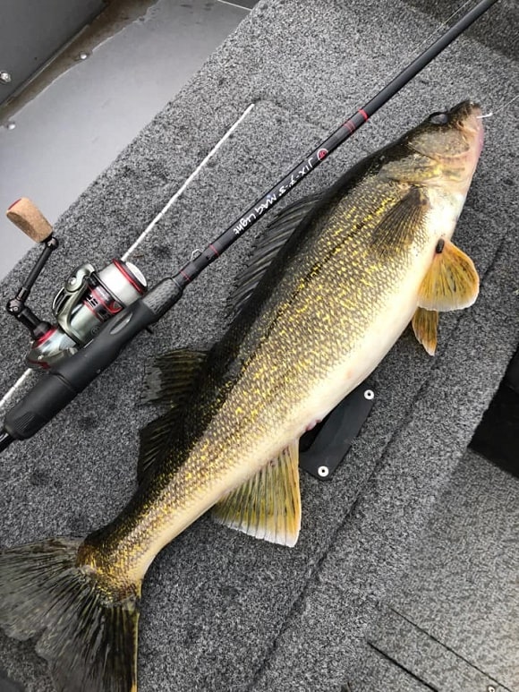 a big walleye next to a fishing rod and pflueger xt30 reel on a boat