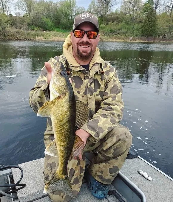 an angler on a river holding a nice walleye caught on a creature bait