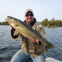a predator angler on his boat holding a really big walleye that he has caught on crayfish as bait