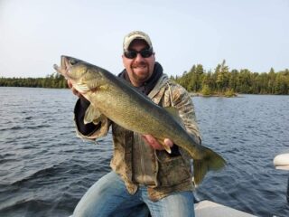 a predator angler on his boat holding a really big walleye that he has caught on crayfish as bait