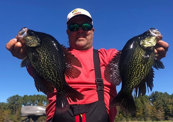 a pro staff angler holding a pair of really big black crappies