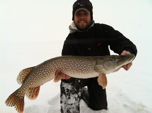a predator angler on Leech Lake ice fishing for big northern pike