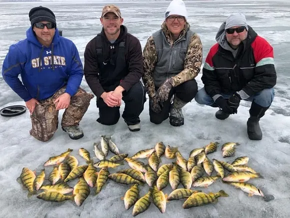 A group of ice anglers on Mille Lacs Lake with a bunch of yellow perch