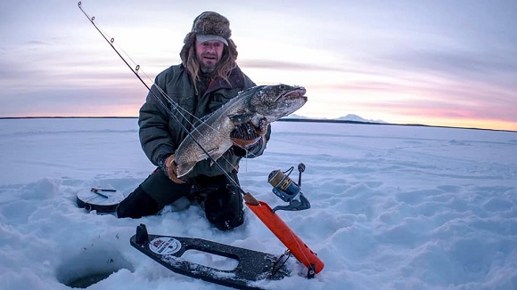 a happy fisher holding a big lake trout that he has caught dead sticking a live minnow