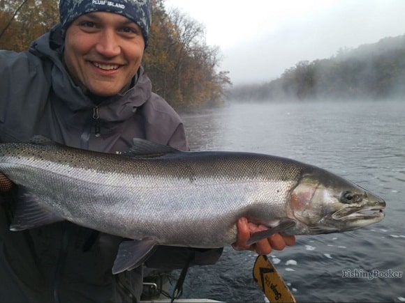a happy angler on a Michigan river with a nice steelhead caught just after sunrise