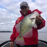 a bass pro angler on his boat holding a big pre-spawn crappie