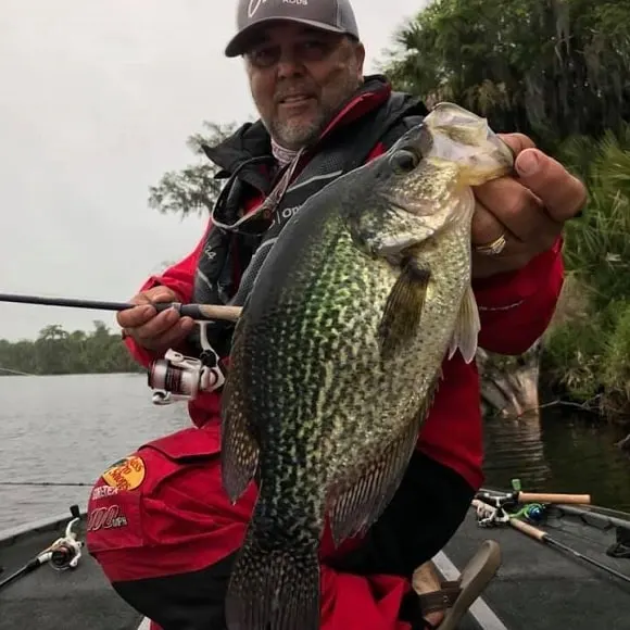 a pro staff angler fishing for crappie in shallow water during the spawn