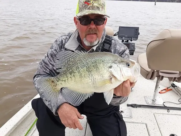an angler on his boat with a very nice and big pre-spawn white crappie
