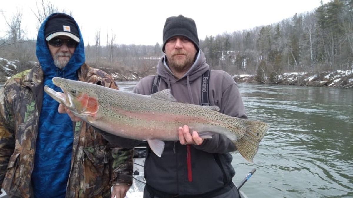 Steelhead Fishing in Michigan (A Complete Guide) Strike and Catch
