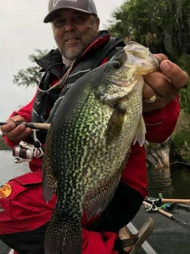 Where to Find Crappie During the Spawn?