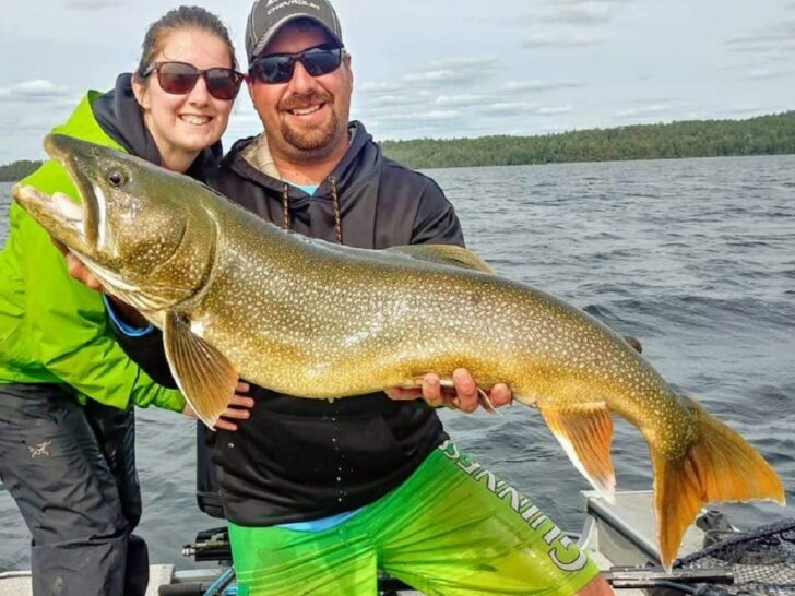 What Are the Best Rods for Lake Trout? (Jigging and Trolling)