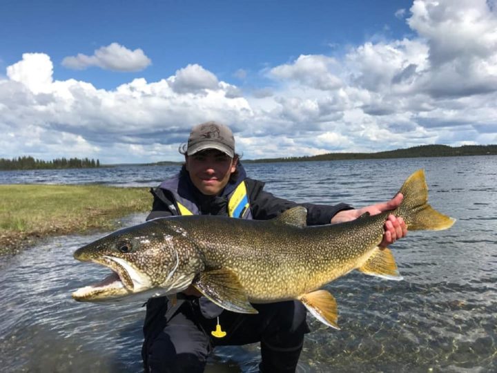 What Do Lake Trout Eat?  (Preferred Prey and Baits)